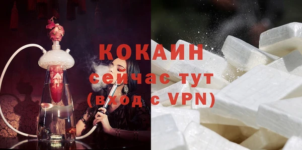 хмурый Липки