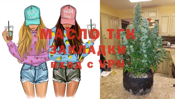 хмурый Липки