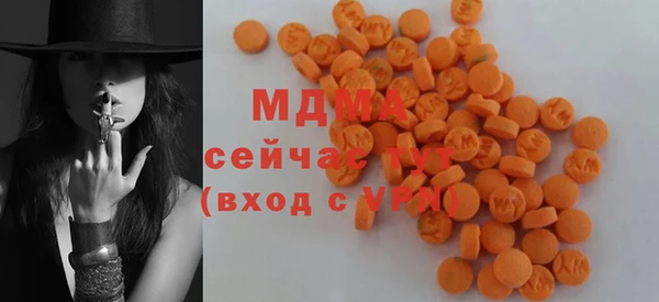 ГАЛЛЮЦИНОГЕННЫЕ ГРИБЫ Магас